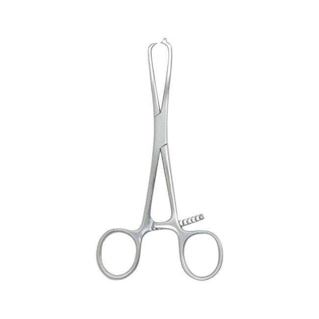 Bone Holding Forcep 6.75