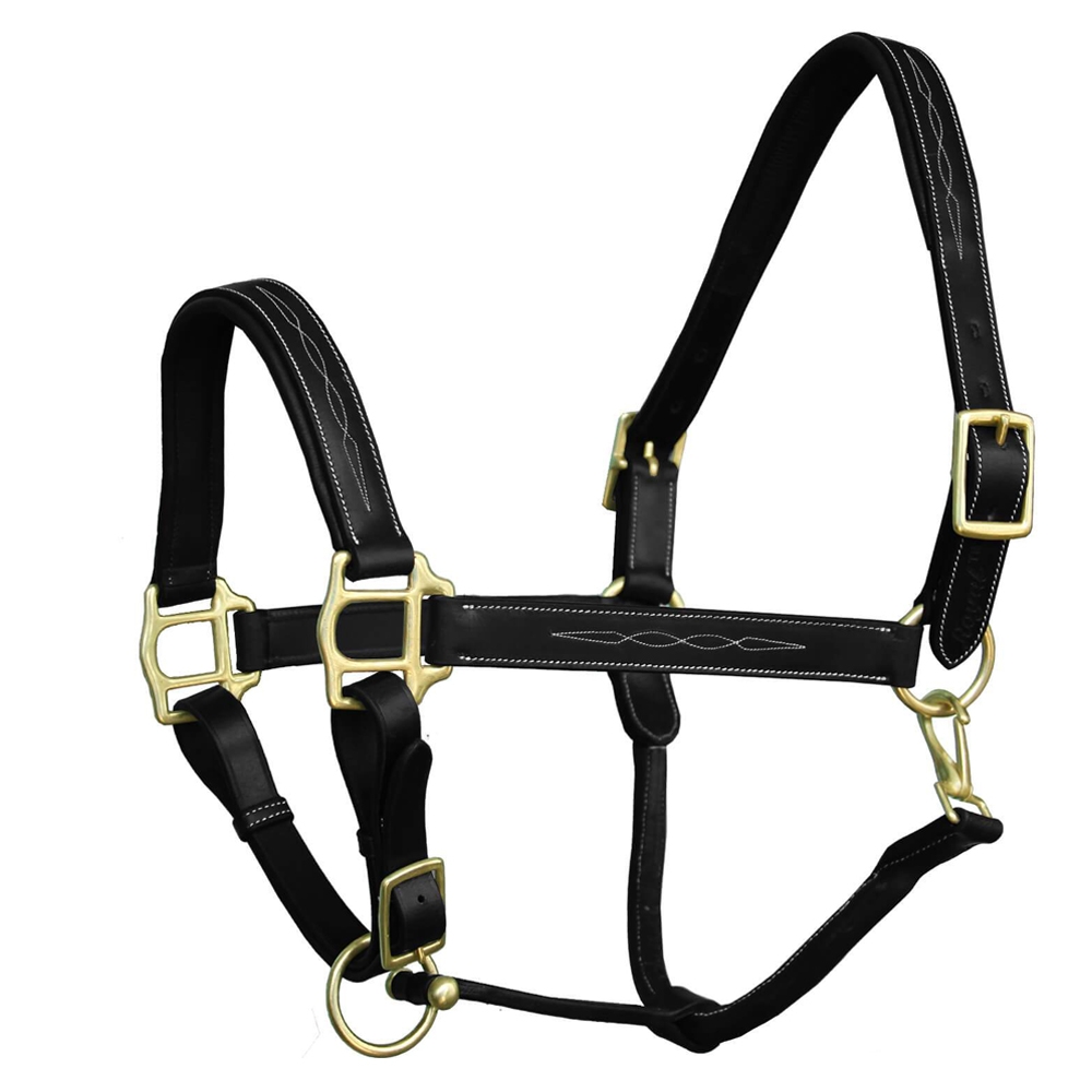 ExionPro-Six-Fancy-Padded-Halter-Brass-Hardware