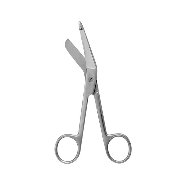 Lister Scissors 5.5