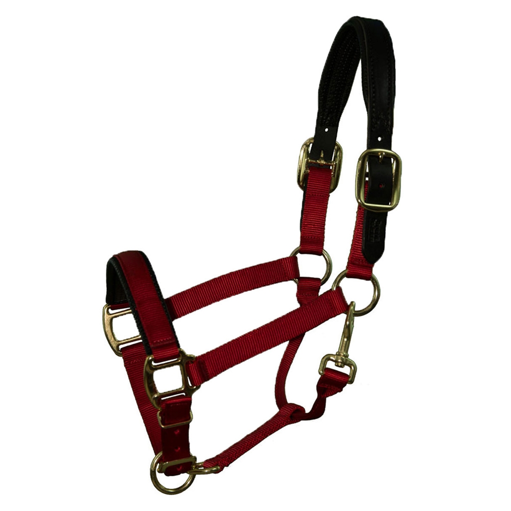 Intrepid-Chafeless-Padded-Breakaway-Halter