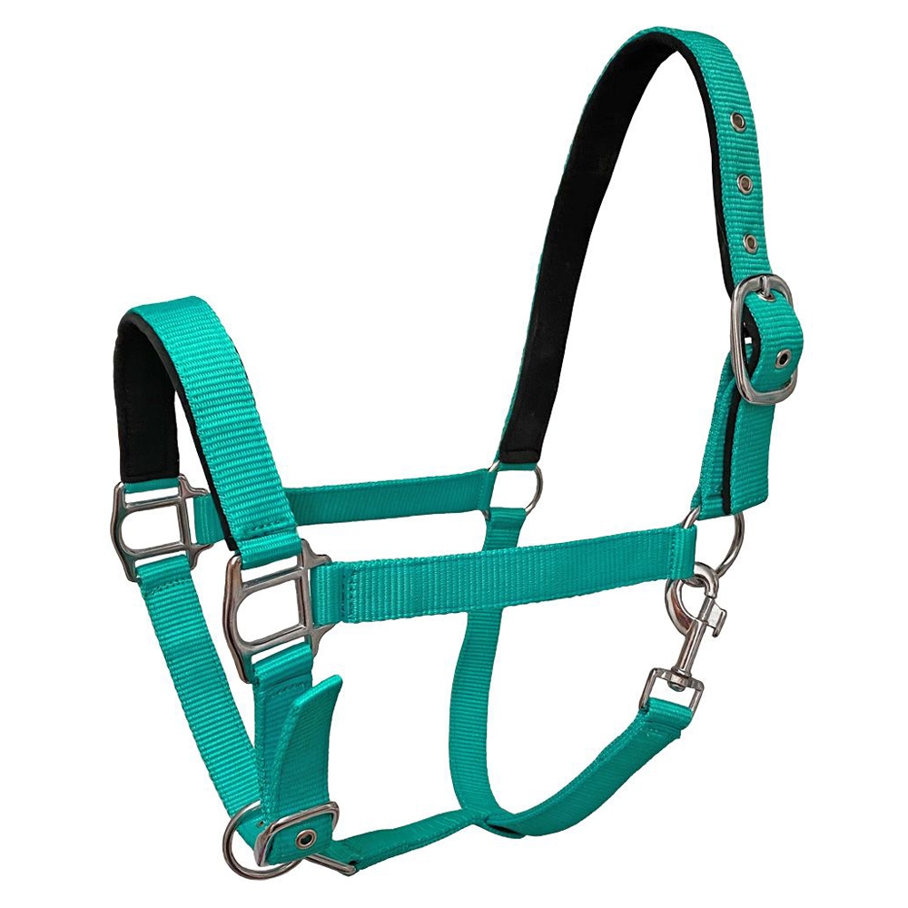 Rugged-Ride-Adjustable-Padded-Nylon-Halter-Chicks-Discount-Saddlery