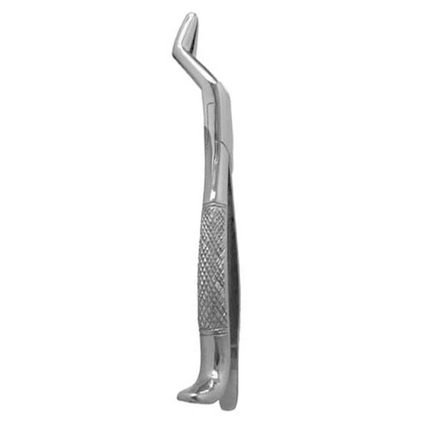 Wolf teeth Forceps