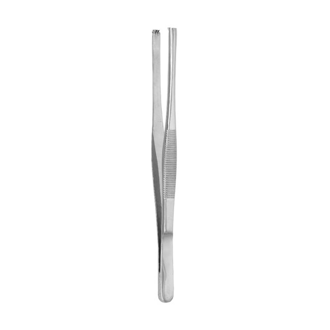 Tissue Forceps 6