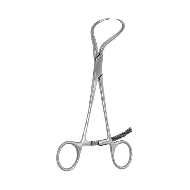 Bone Fragment Forceps 6.5